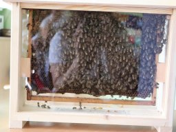 50290557811705864548693015750282260102415880n